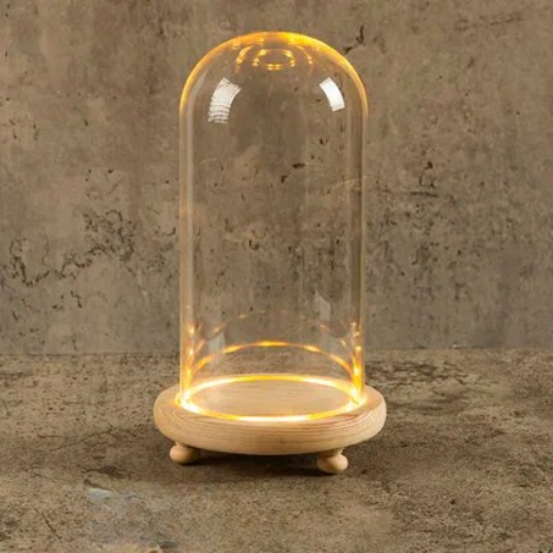 10x19 cm Glass Flower Display Cloche Bell Jar