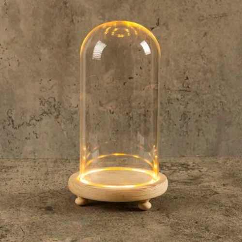 12x22 cm Glass Flower Display Cloche Bell Jar