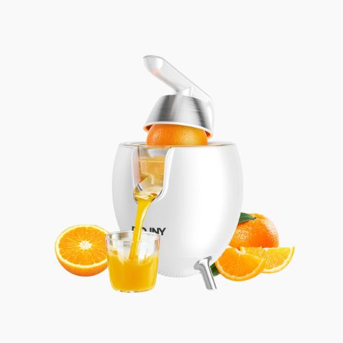 ROUNY 850W Commercial Stainless Steel Citrus Press Juicer with Spout
