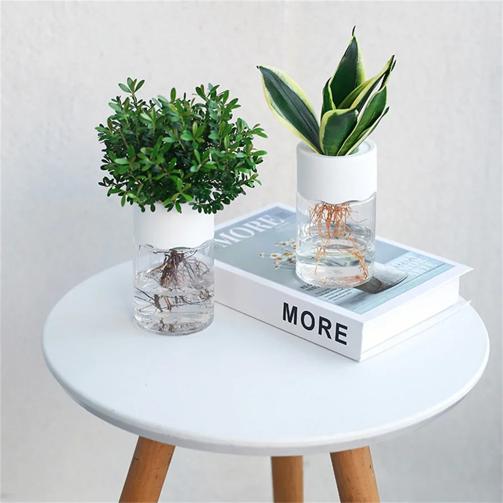 Mini Self-Watering Hydroponic Plant Pot Clear PET Desktop Vase