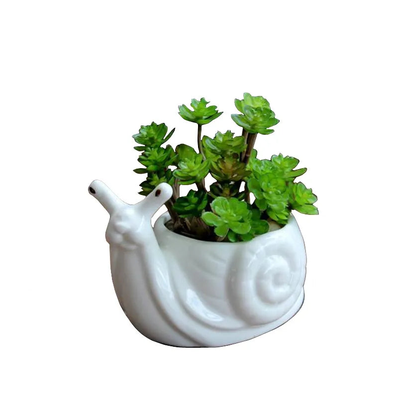 Cartoon Snail Ceramic Succulent Pot Cute Porcelain Flower Vase