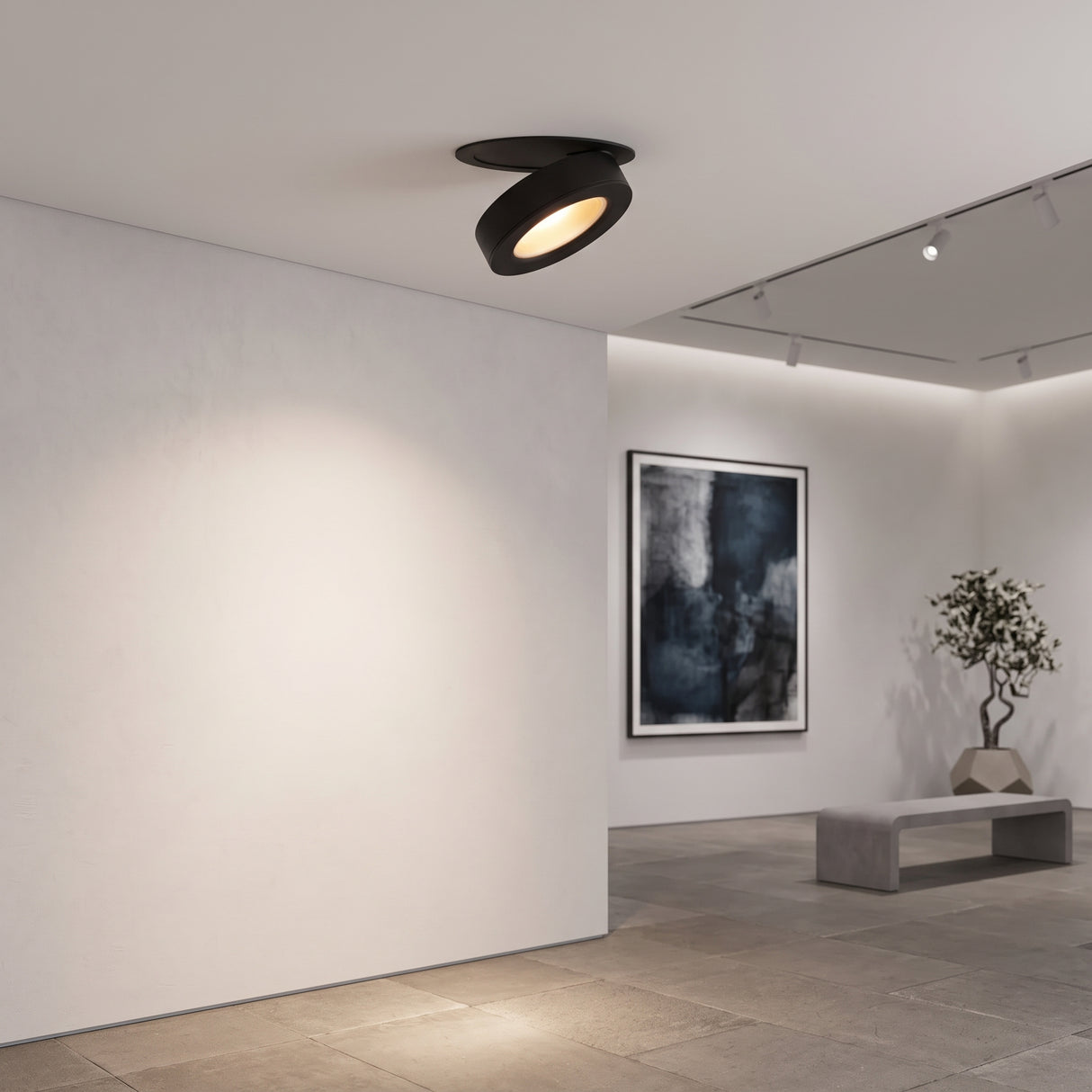 Black rotatable downlight angled from a white ceiling toward framed artwork