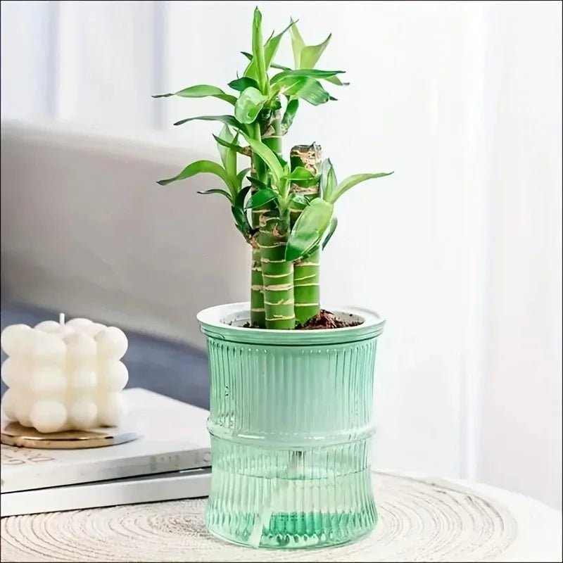 Clear Plastic Plant Pots – Self Watering Hydroponic Double Layer Planter - Hurbane Home
