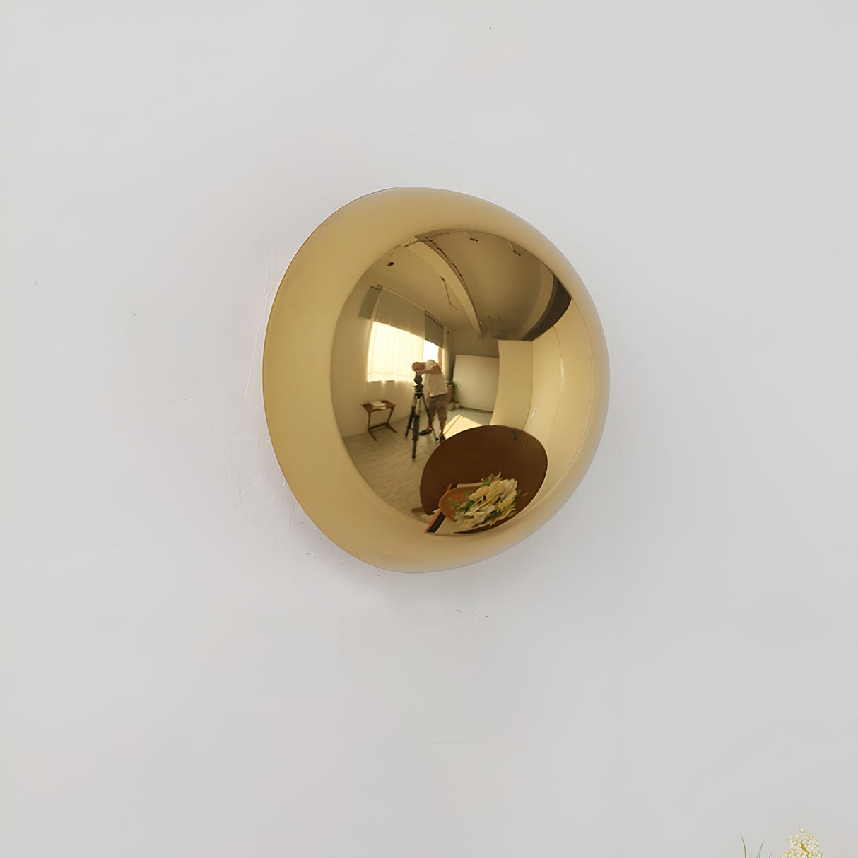 Silver dome sconce lit on a wall beside a large potted plant