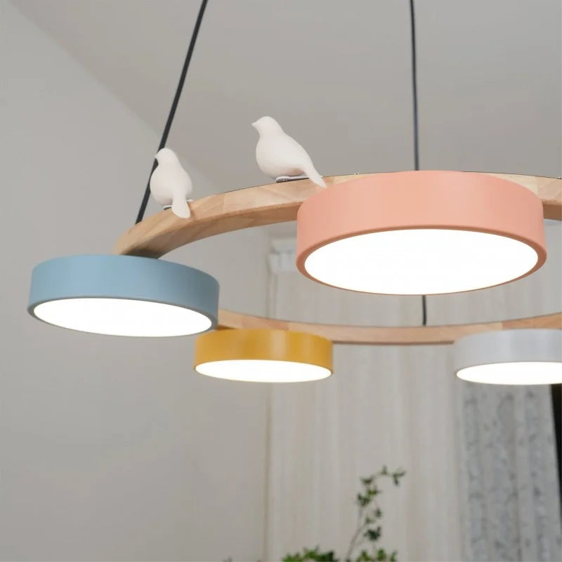 Overhead arrangement of macaron drum shades circling the wooden chandelier frame