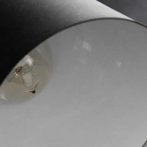 Close view of the filament bulb sitting inside the cone shade