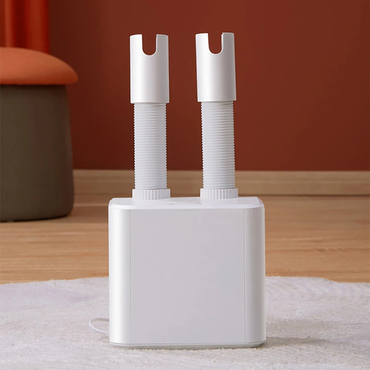 Portable shoe dryer and deodorizer for home use