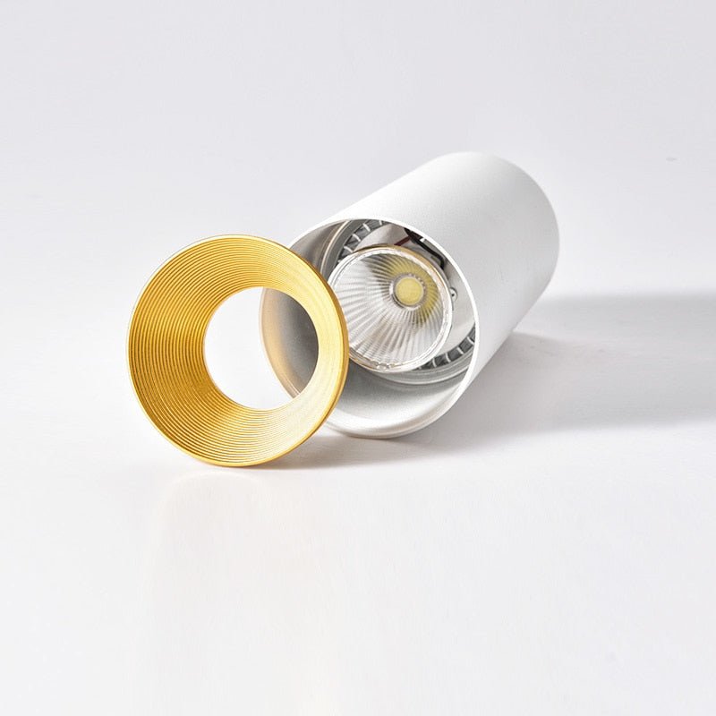 Cut away view of the cylinder light showing the gold trim ring and lens