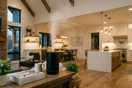 Best Waterless Diffuser for Large Rooms and Whole Houses