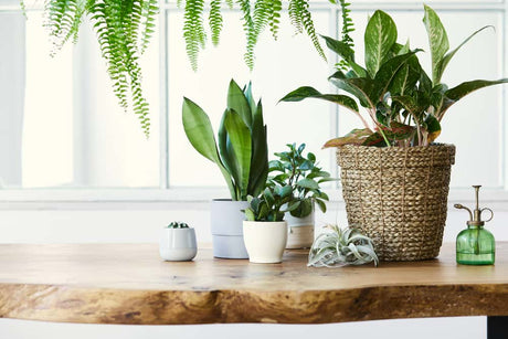 Back in stock - Hurbane Home