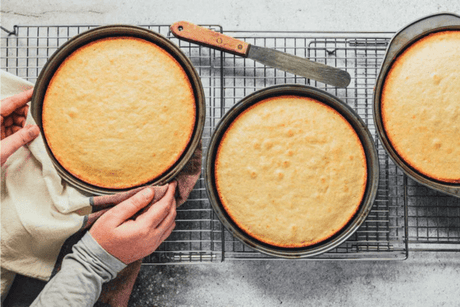 Cake Pans - Hurbane Home