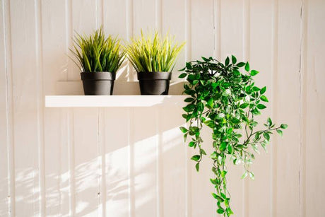 Faux Plants - Hurbane Home