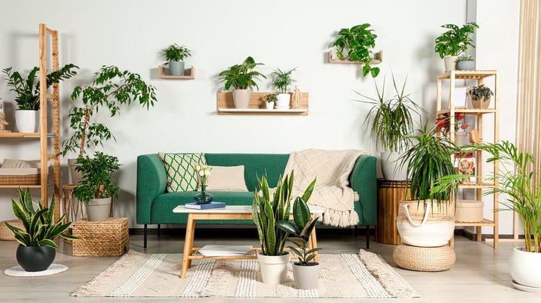 Plant Pots - Hurbane Home