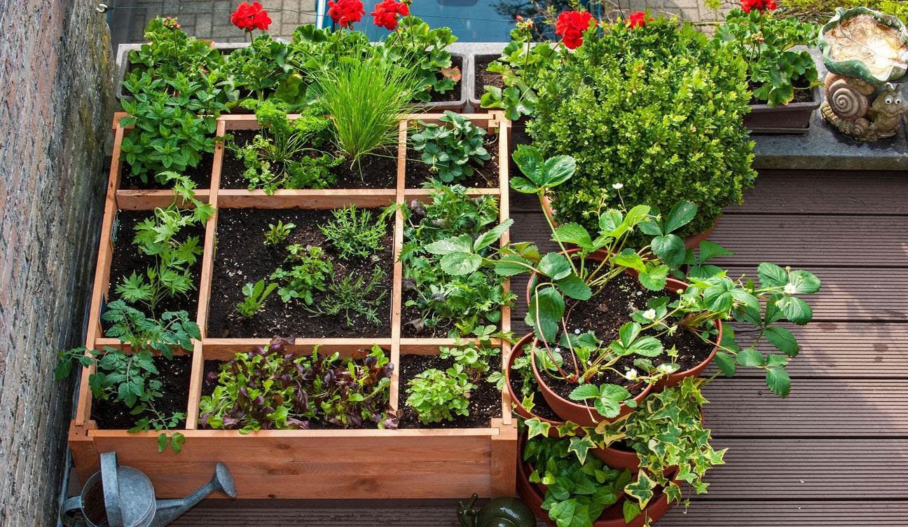 Plant Stands - Hurbane Home