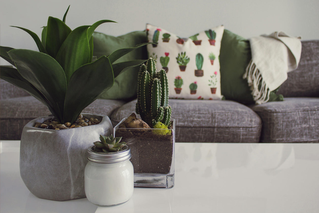 Sale Under $100 - Hurbane Home