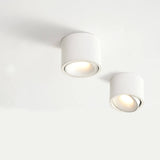 Modern Minimalist Round Adjustable LED Flush Mount Spotlight Aluminum 1-Light