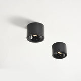 Modern Minimalist Round Adjustable LED Flush Mount Spotlight Aluminum 1-Light