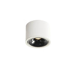 Modern Minimalist Round Adjustable LED Flush Mount Spotlight Aluminum 1-Light