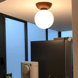 Modern Minimalist Glass Orb Ceiling Light Iron 1-Light