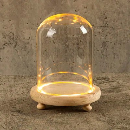12x15 cm Glass Flower Display Cloche Bell Jar 