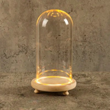 12x22 cm Glass Flower Display Cloche Bell Jar 