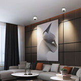 Modern Minimalist Round Adjustable LED Flush Mount Spotlight Aluminum 1-Light