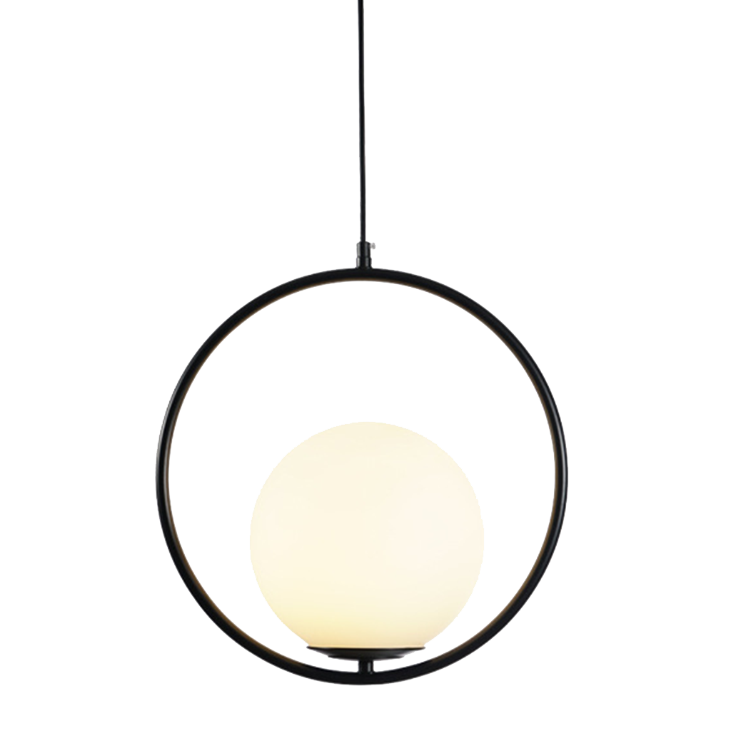 Black round frame glass globe pendant shown against a plain white studio background