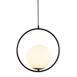 Black round frame glass globe pendant shown against a plain white studio background