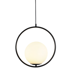 Black round frame glass globe pendant shown against a plain white studio background