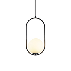 Black oval frame glass globe pendant shown on a plain white studio background