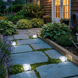 White cube lights lining a paved path beside a lit house at twilight