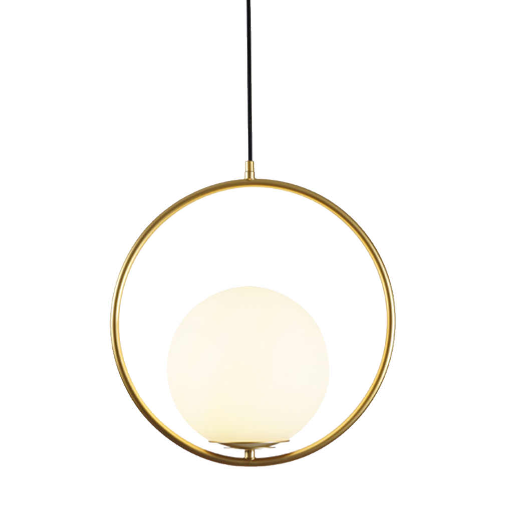 Tall black oval frame glass globe pendant on a plain white studio background