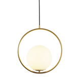 Tall black oval frame glass globe pendant on a plain white studio background