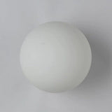 Modern Minimalist Orb Glass Wall Sconce Lamp 1-Light