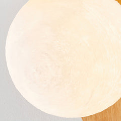 Modern Minimalist Frosted Glass Wall Sconce Metal