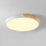 Lampsmodern-UK Colorful Simple LED Round Ceiling Light Flush Mount