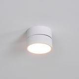 Modern Minimalist Favilla Surface Recessed Light Aluminum LED