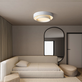 Disc ceiling light close view of the diffuser