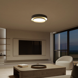 Flint Modern Minimalist Disc Ceiling Lamp Metal Acrylic Integrated LED Flush-Mount