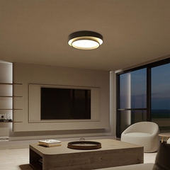 Flint Modern Minimalist Disc Ceiling Lamp Metal Acrylic Integrated LED Flush-Mount