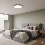 Lampsmodern-UK Colorful Simple LED Round Ceiling Light Flush Mount