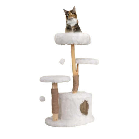 pet accessories and toys