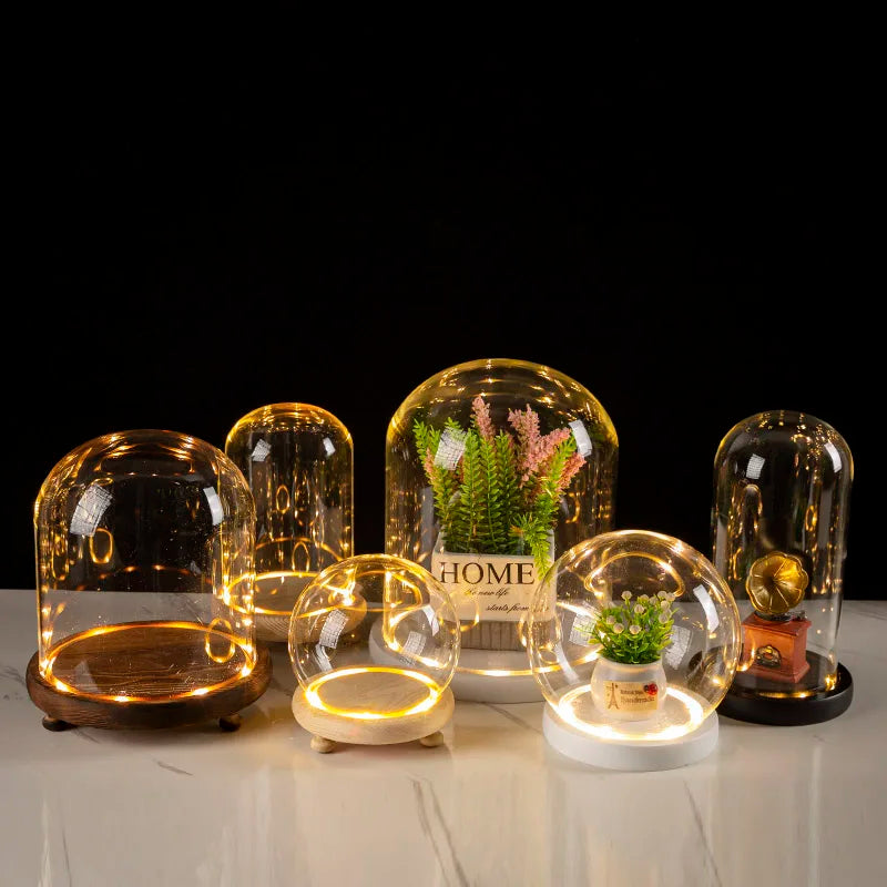 LED Wooden Base Glass Bell Jar Terrarium Display Dome