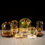 LED Wooden Base Glass Bell Jar Terrarium Display Dome