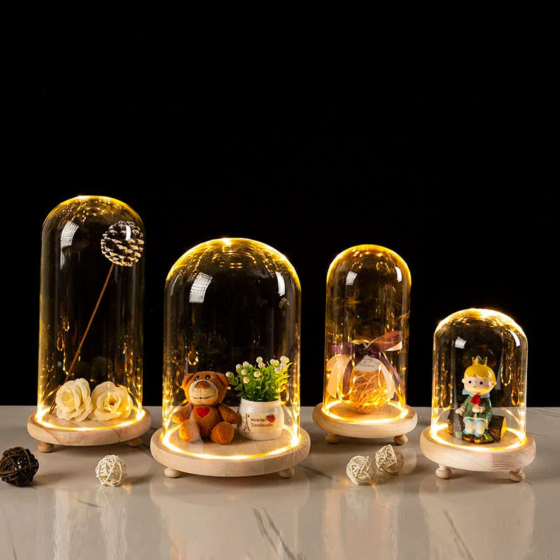 LED Wooden Base Glass Bell Jar Terrarium Display Dome