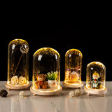 LED Wooden Base Glass Bell Jar Terrarium Display Dome