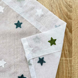 Green Star Embroidered Voile Sheer Kitchen Curtain Panel with Lace