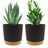 2-Pack 6.5in Self-Watering Removable-Bottom Round Plastic Planters Indoor Outdoor