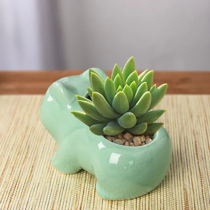 Cute Ceramic Mini Succulent Planter with Drainage Hole
