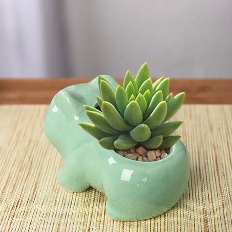Cute Ceramic Mini Succulent Planter with Drainage Hole